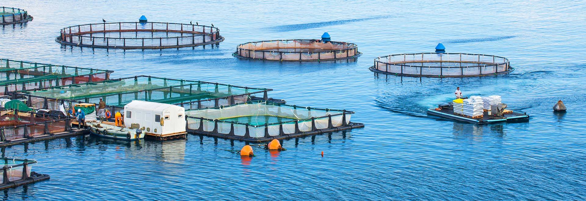 Aquaculture